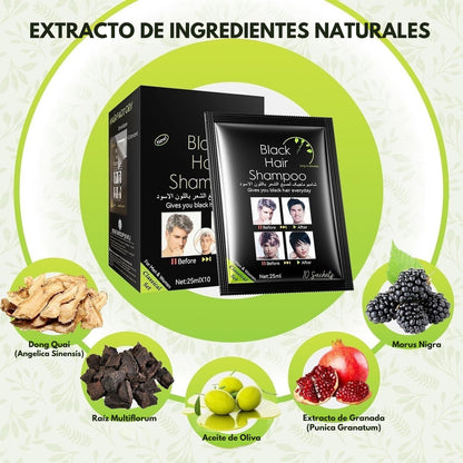 SHAMPOO TINTE O CUBRE CANAS Color NEGRO
