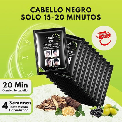 SHAMPOO TINTE O CUBRE CANAS Color NEGRO